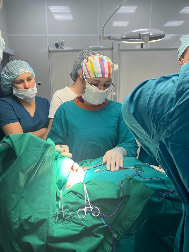 Курс по основам фотодинамической терапии Курс по основам фотодинамической терапии