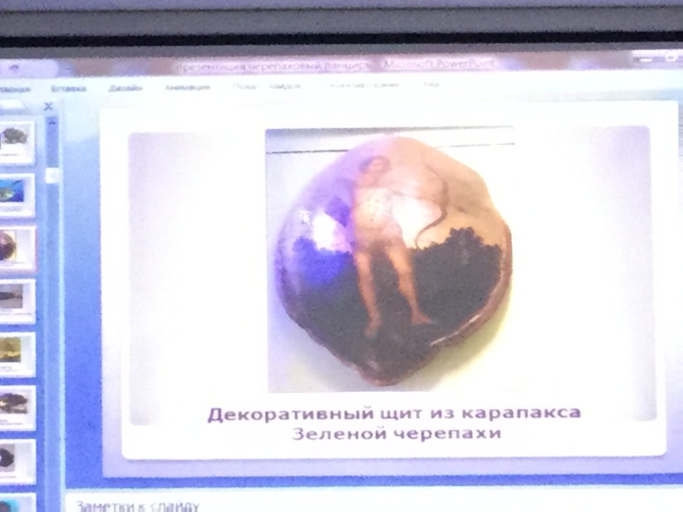 �����������. ������� ������� � ������� ���������