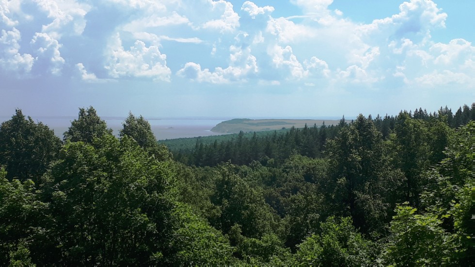 Физики-спелеологи Физики-спелеологи