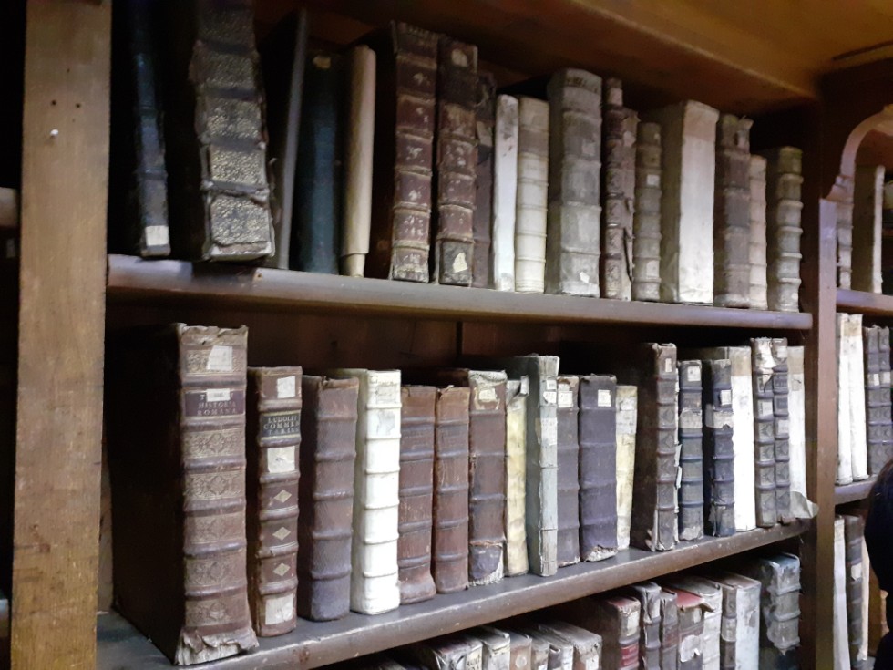 ������������� ����������� 