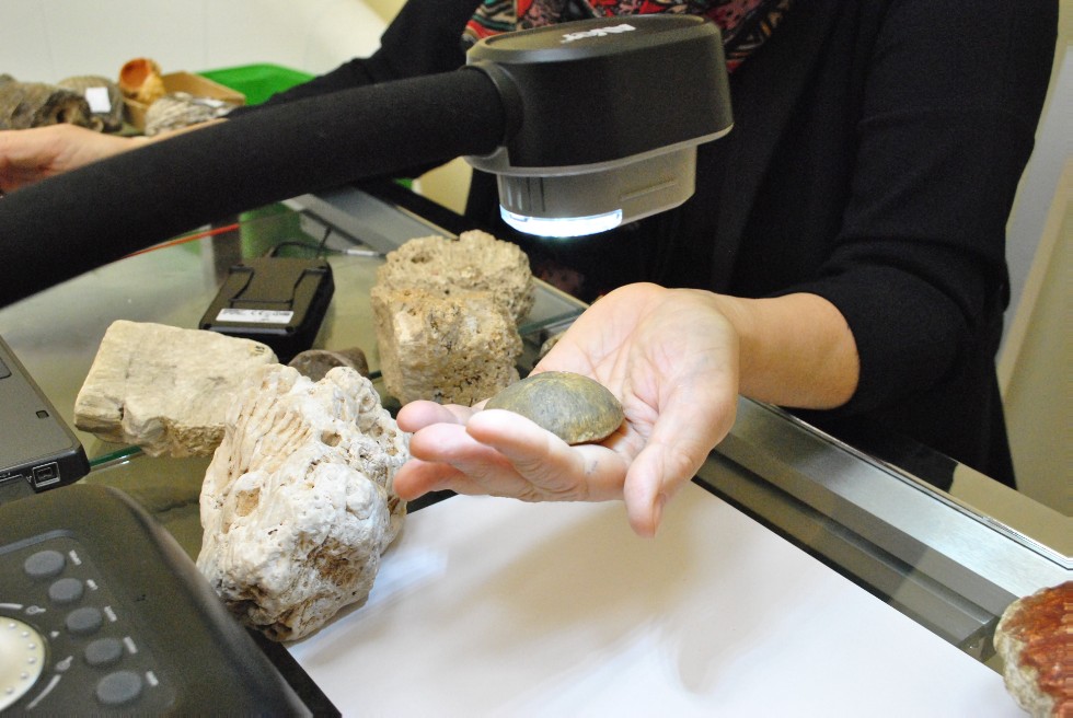 ������ ������ �� �������� �� �������������� ������