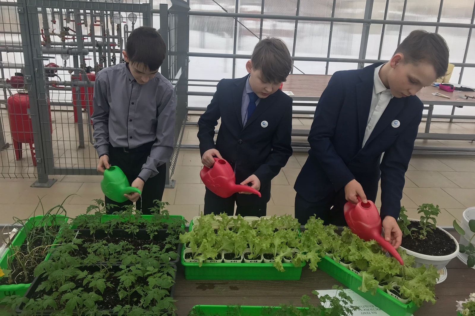 ������-����� �� ��������� ������� ������� ������� ����������� 6 '�' ������ ��� ����� ���������