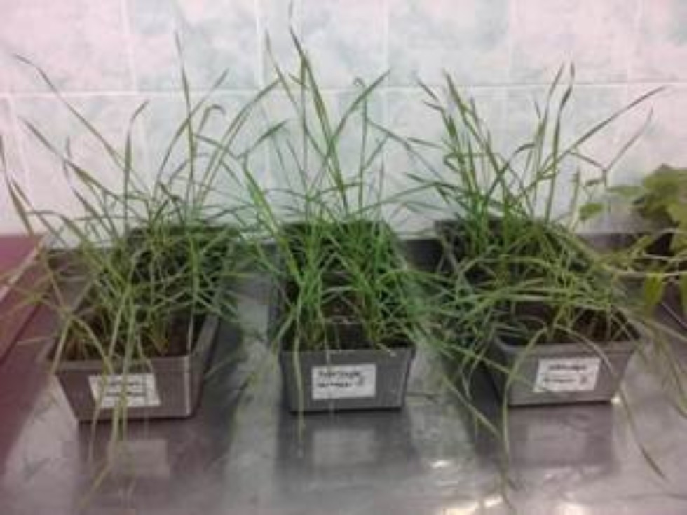 ������������