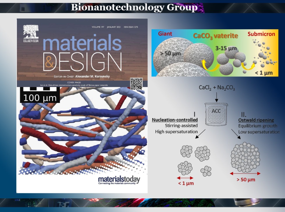 Research group has developed the method of synthesis mesoporous vaterite crystals ,Calcium carbonate, drug delivery, encapsulation, carriers, decomposable, adsorption isotherm