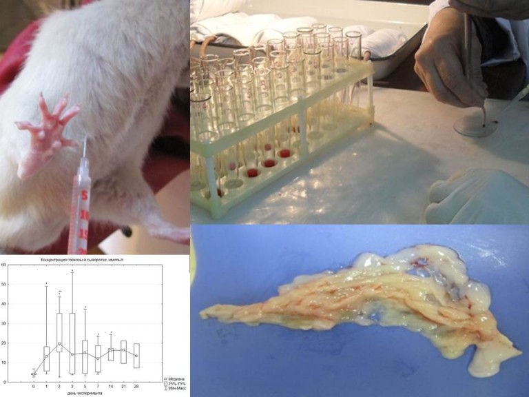 '����������� ������ ����������� ������������� ������' (���. �.�.�., ���. �.�. �������, �.�.�., ���. �.�. ����������)