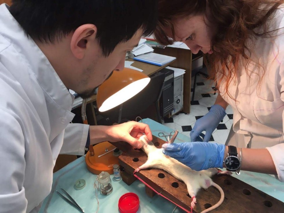 ������������ ������� �� ���������� ��������� '������ ������'