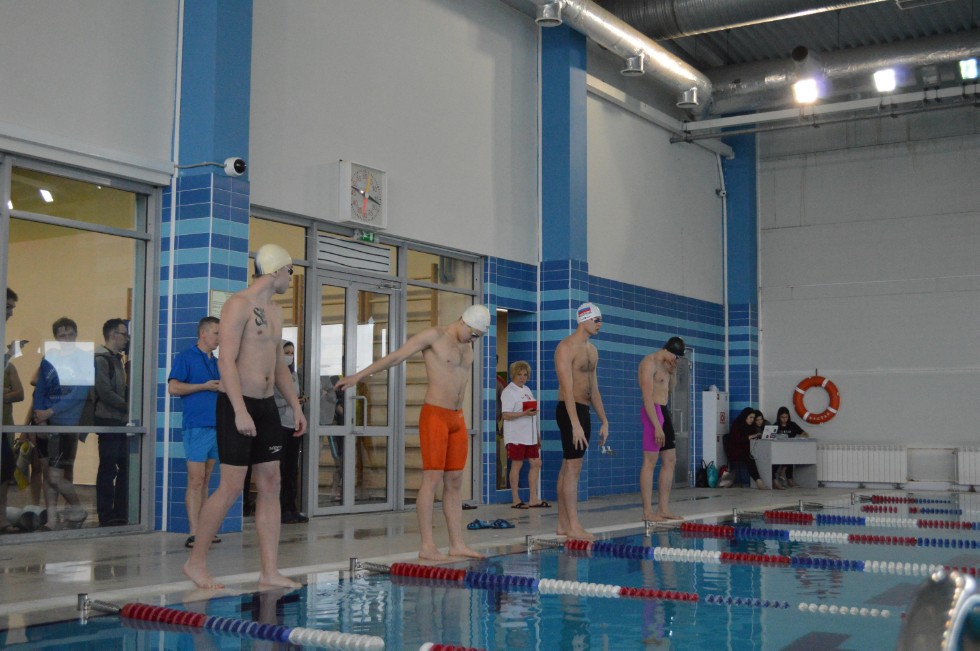 � �������� ���� - �������� ���