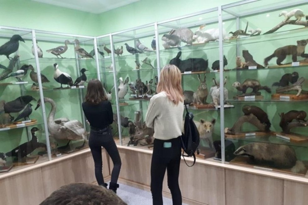 ���������� ����� ���� � ������������� ����� �� ���