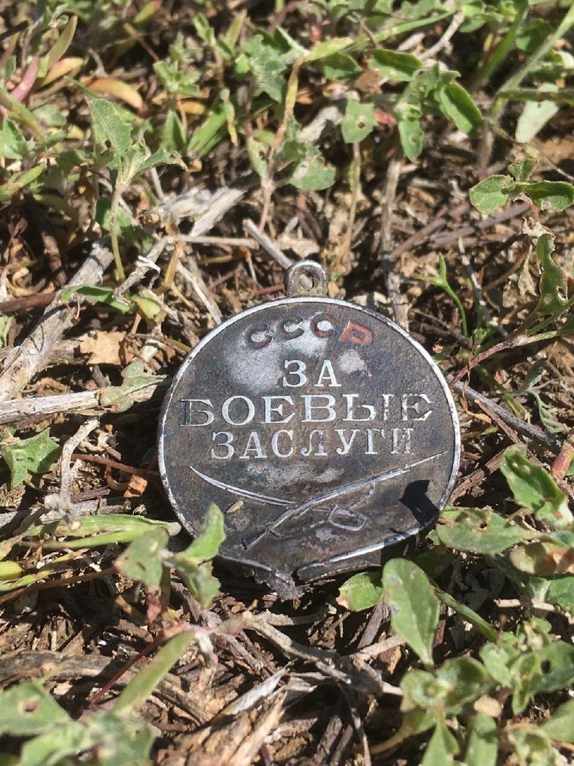 ����� ������ ������ ���� �����������