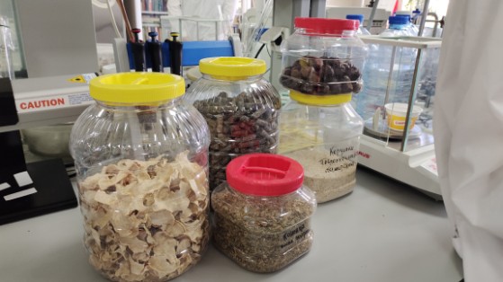 ��������� ������������ �������� �������� �������� � ������ � ������� ,����������� �������� �������� ���