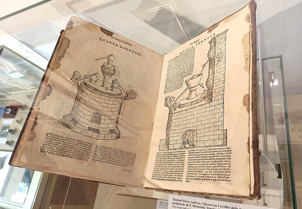 �������� '����� ������'