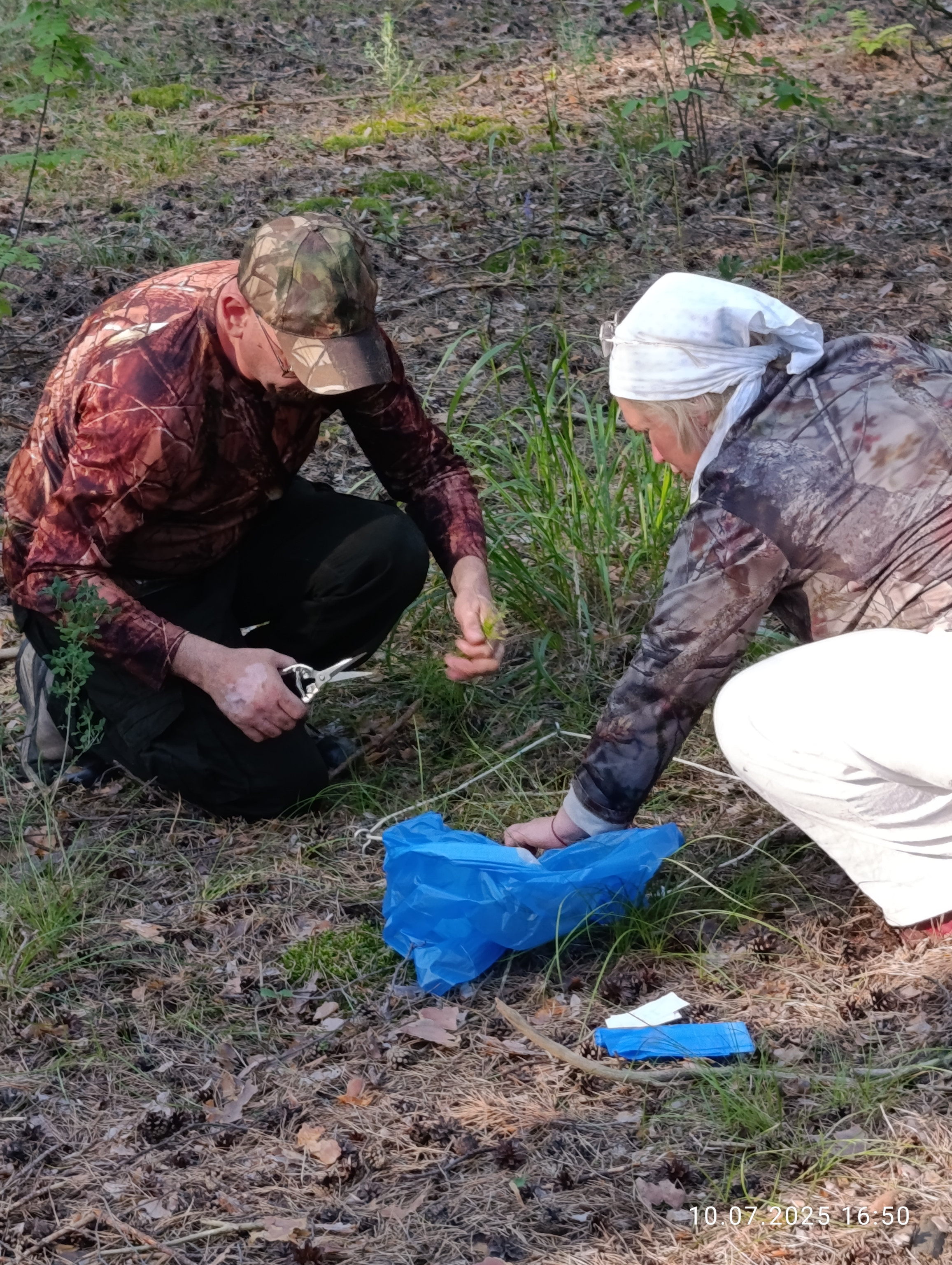 Исследования запасов углерода в сосняках Национального парка Исследования запасов углерода в сосняках Национального парка