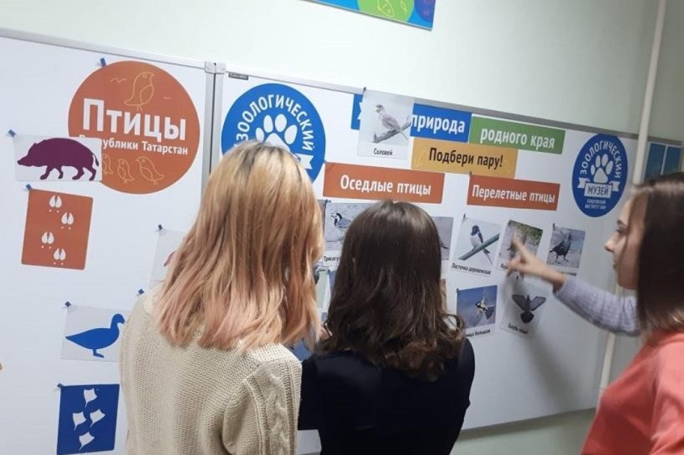 ���������� ����� ���� � ������������� ����� �� ���