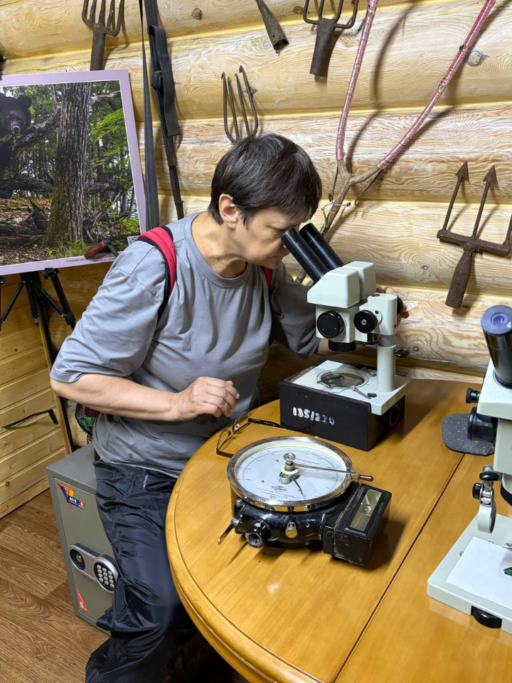 Леопарду в Приморье - быть! Леопарду в Приморье - быть!