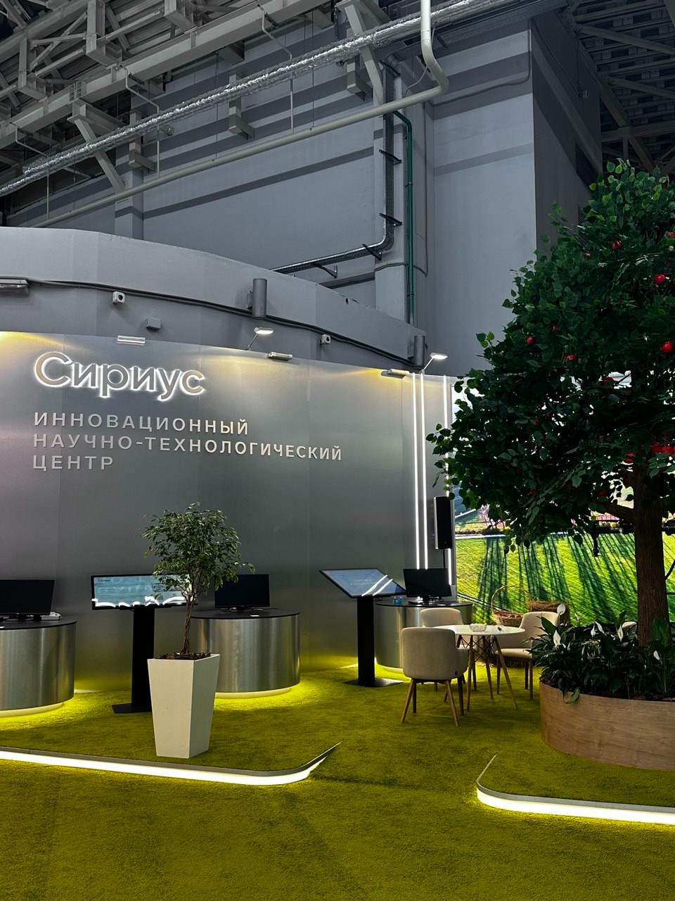 ��������� ���������� ������������ ������������ �������� V �������� ������� ������