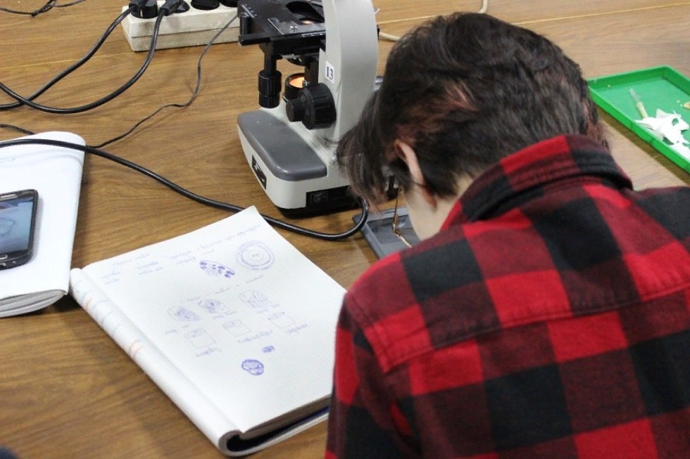 ��������� ������� �������� ������� �������� � �������