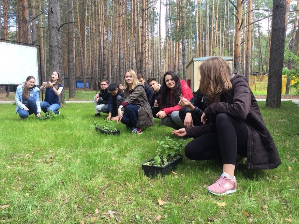 ������ �������� � ������ 