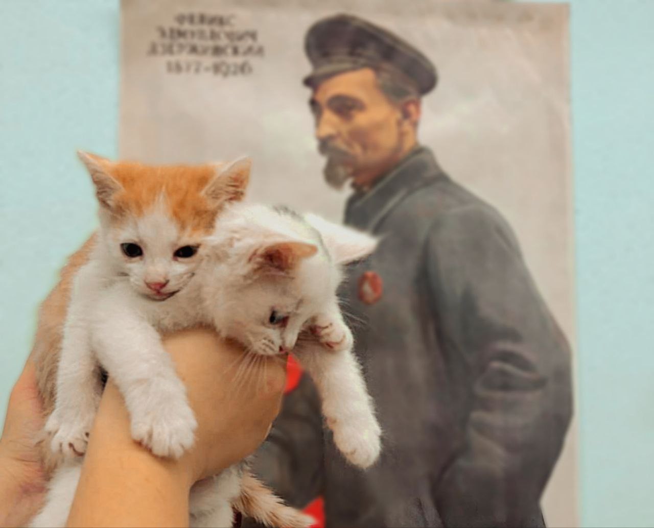 ������ ���� � ���� �������