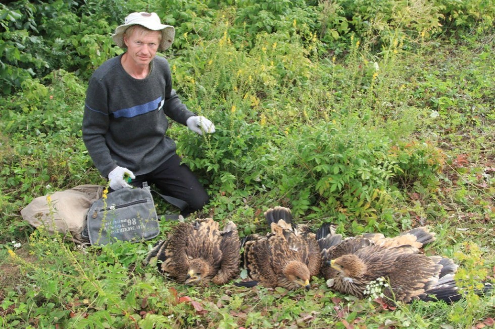 ����������� � �������!