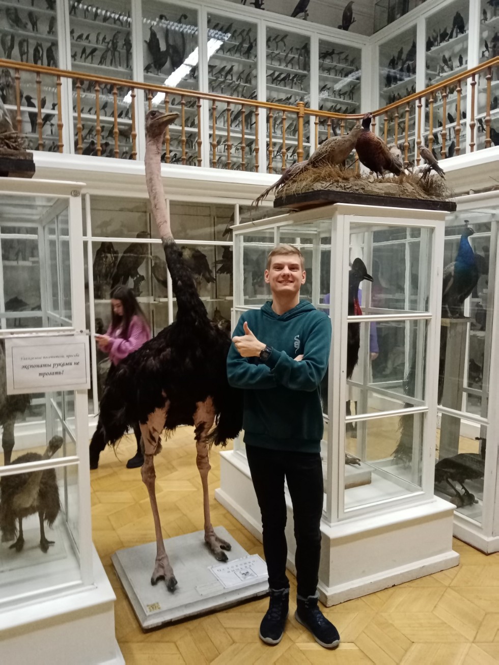 Поход в зоологический музей Поход в зоологический музей