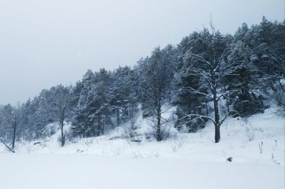 Зимние каникулы с пользой для здоровья Зимние каникулы с пользой для здоровья