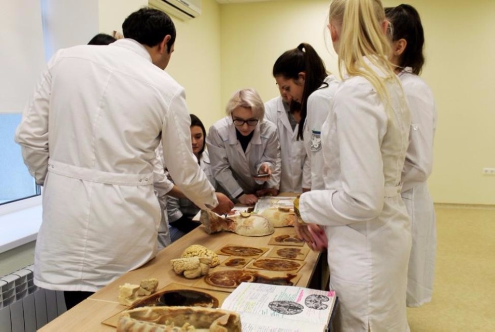 Kazan University and Niigata University Agree on Academic Exchange in Biomedicine