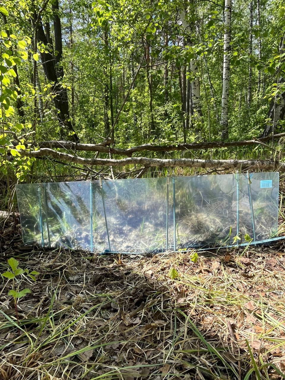 Проведены работы на водном участке полигона Карбон-Поволжье Проведены работы на водном участке полигона Карбон-Поволжье