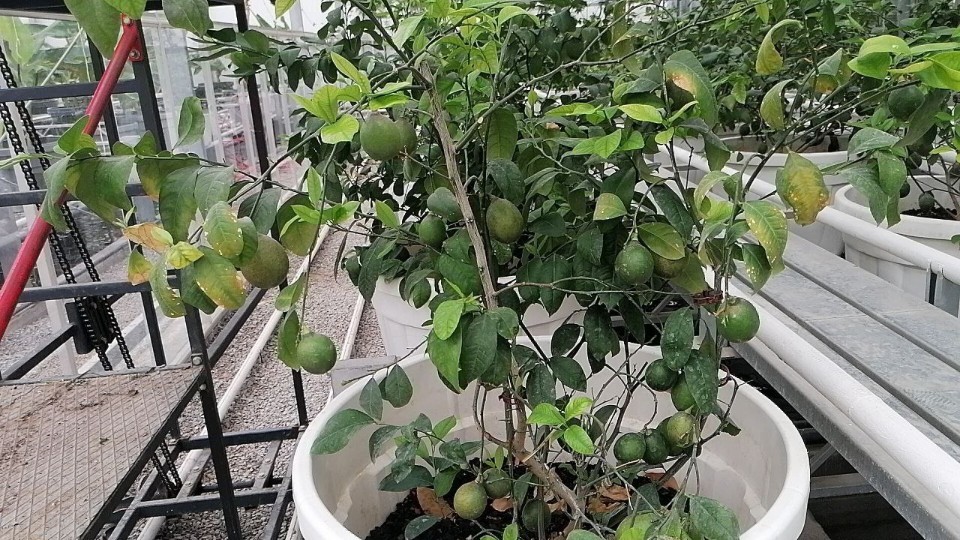 ������ ������� ��������� � ����������� ����� ���������� ���������� � ������� ������� � ��������� ��������������� ������������