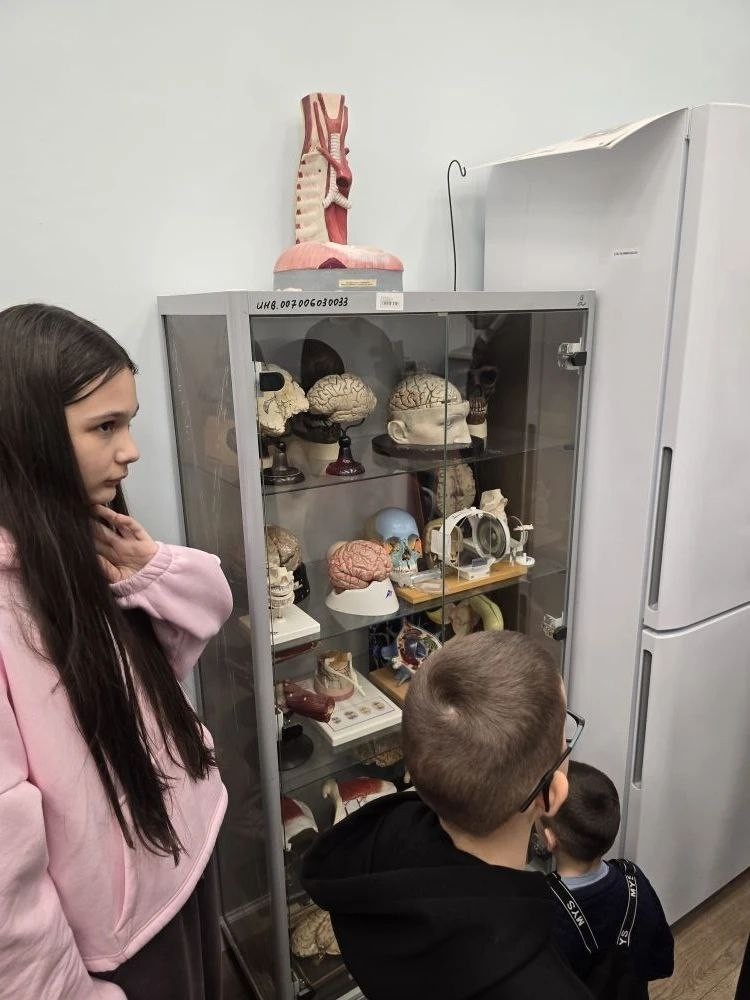 Заседание студенческого научного кружка кафедры Заседание студенческого научного кружка кафедры