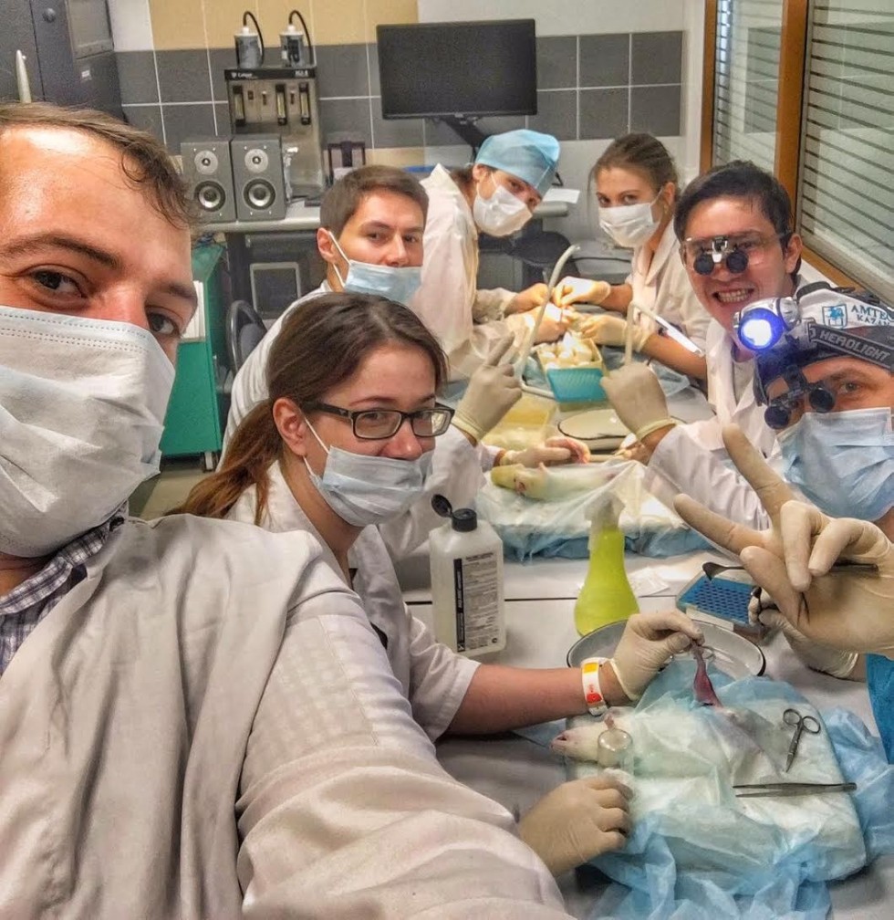 ������� �������