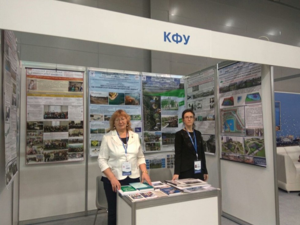 ��� - �������� II-�� ������������� �������� - ������ '������' 17' � V �������������� ������ �� ������ ���������� �����.