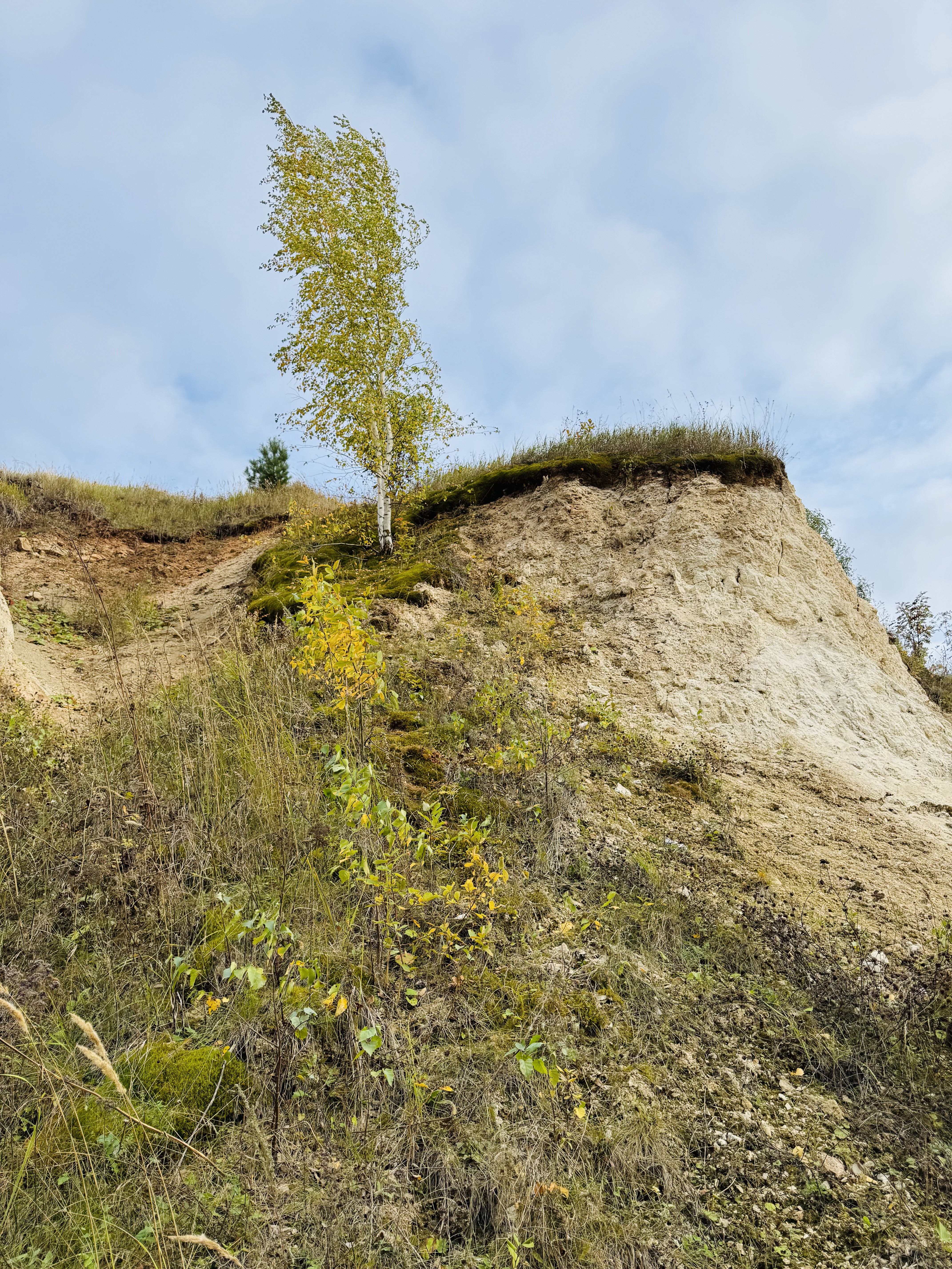 Представители Совета ветеранов КФУ посетили жемчужину Татарстана - Камское Устье Представители Совета ветеранов КФУ посетили жемчужину Татарстана - Камское Устье