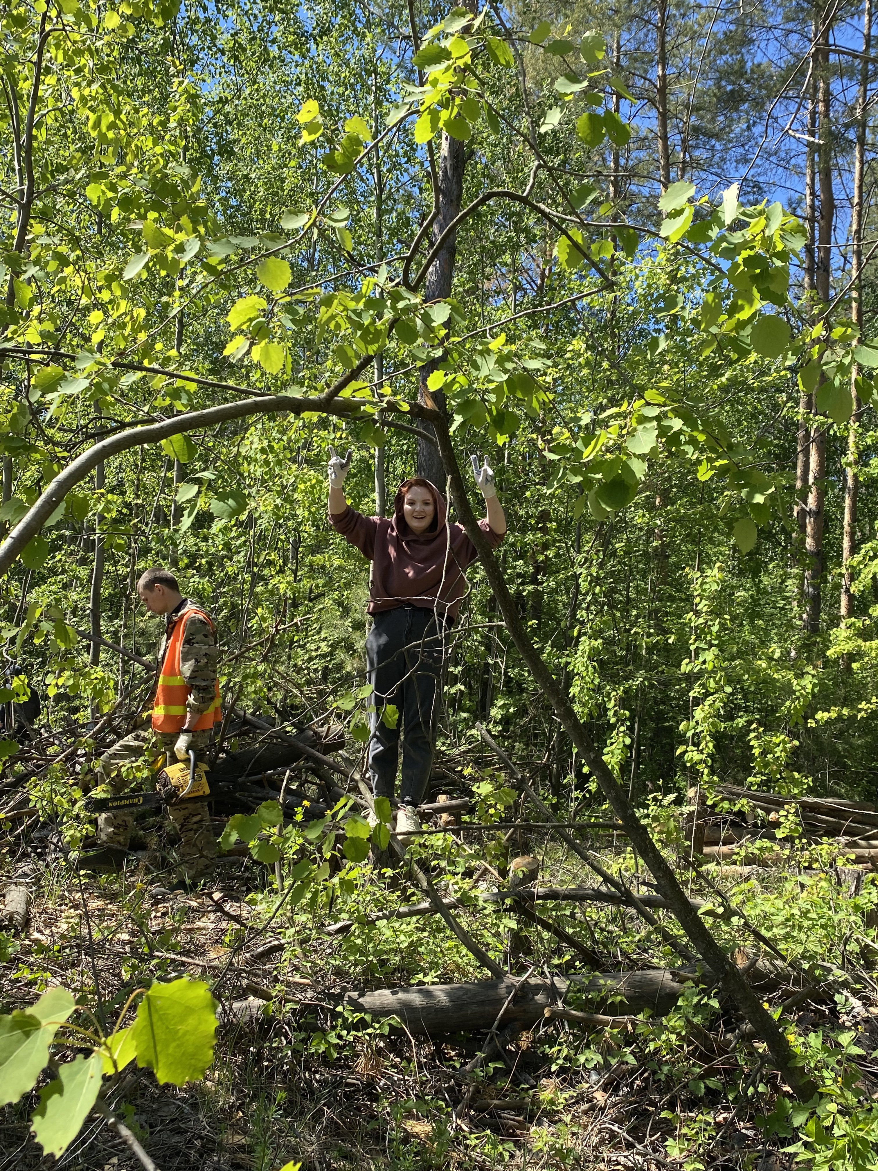 ������� ��������� ������� � ����� '������ ���� ����������'