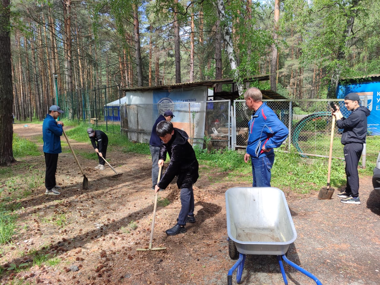 �������� ����������� ��������� ����������� ��� 