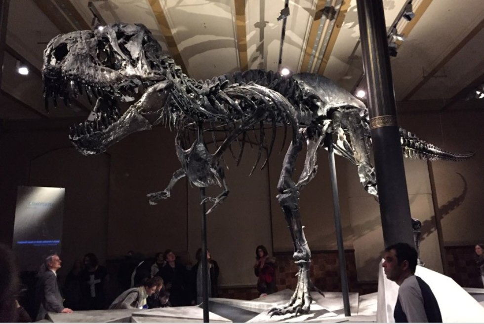 ������� ���������� � ��������� �������� ����������� �������� ����������� ������������