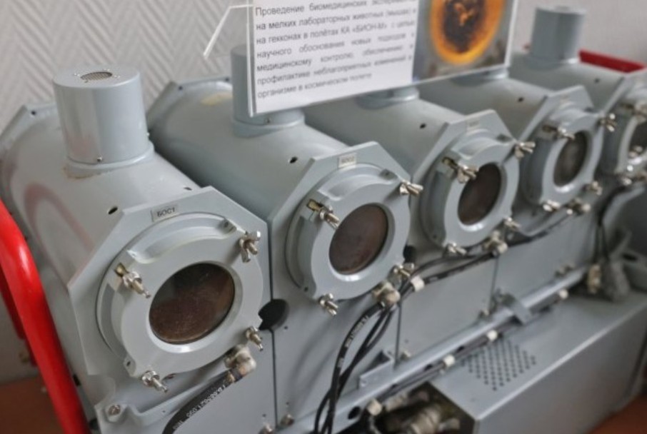 Ученые Институтa математики и механики им. Н.И. Лобачевского ? участники проекта 'Бион-М' № 2 Ученые Институтa математики и механики им. Н.И. Лобачевского ? участники проекта 'Бион-М' № 2