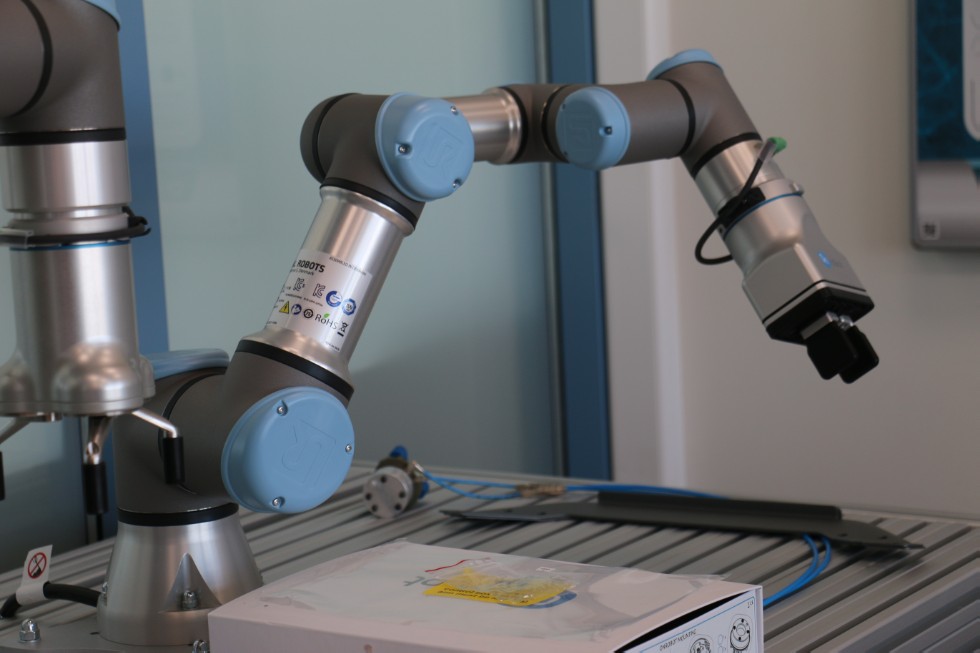 ���� �������� ������������� 