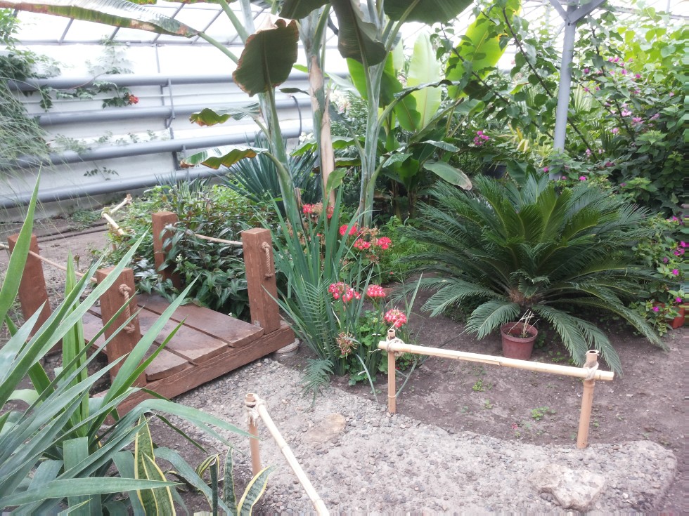 ���������� ��������