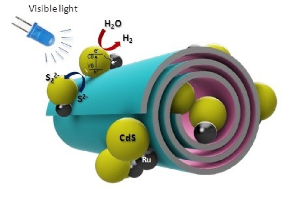 Photo catalysts show promise in creating self-cleaning surfaces and disinfecting agents ,Boreskov Institute of Catalysis, Russian Oil and Gas University, Bionanotechnology Lab, IFMB