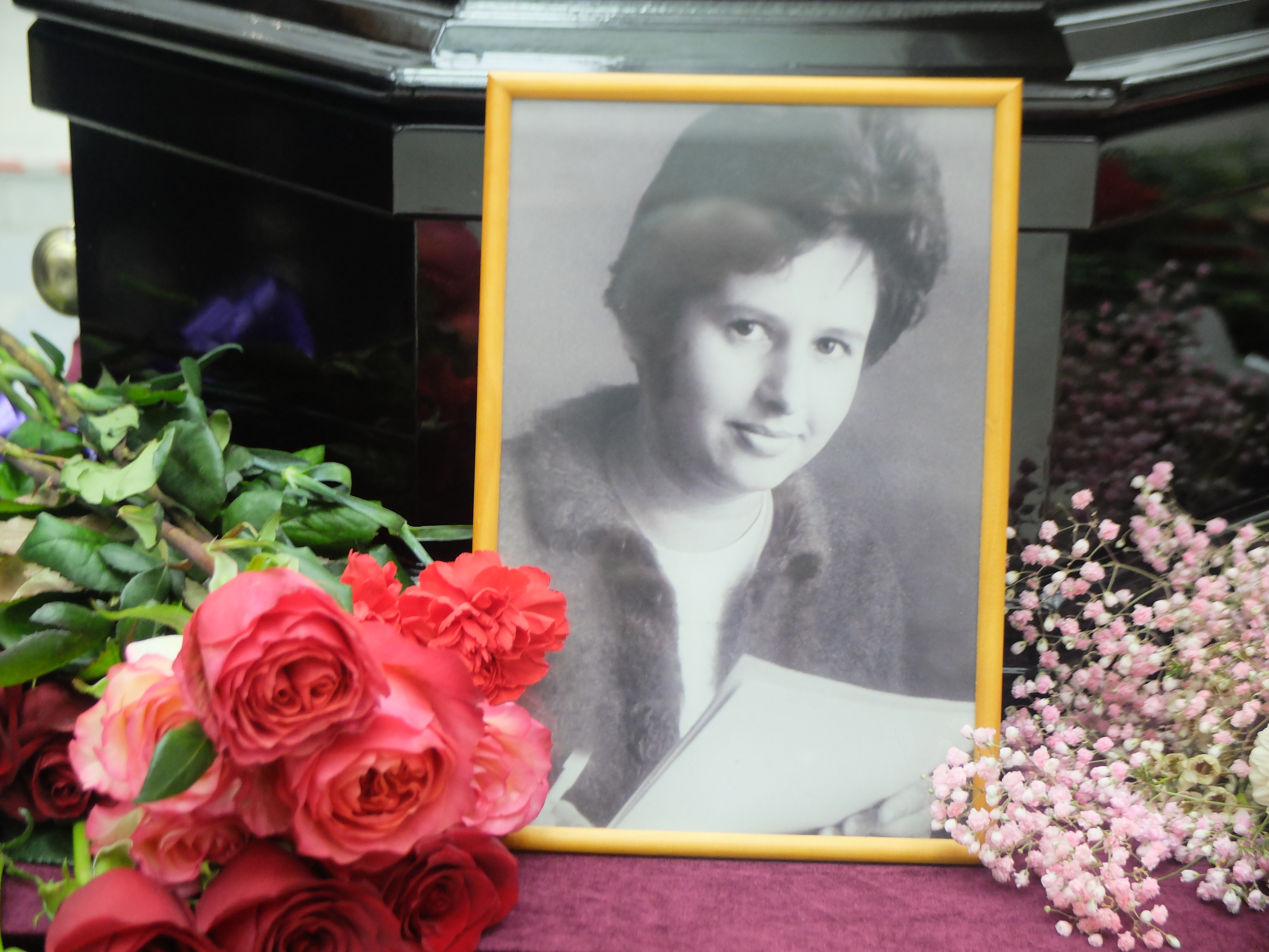 ������ ������� ���������� ���������� (����������)