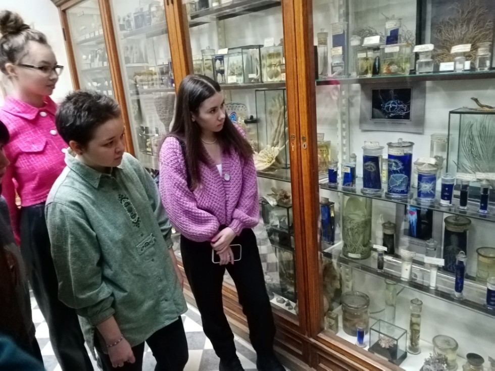 Поход в зоологический музей Поход в зоологический музей