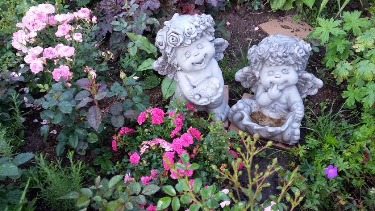 �����������