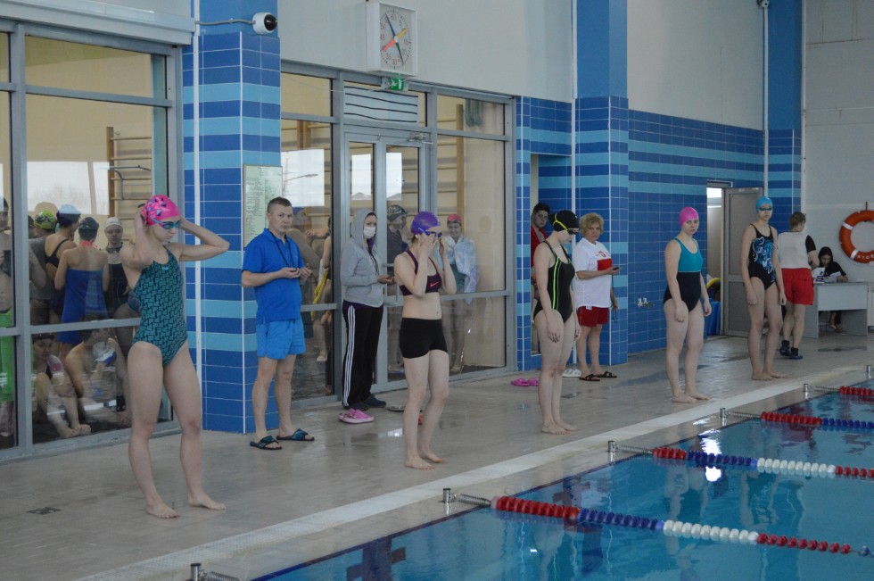 � �������� ���� - �������� ���