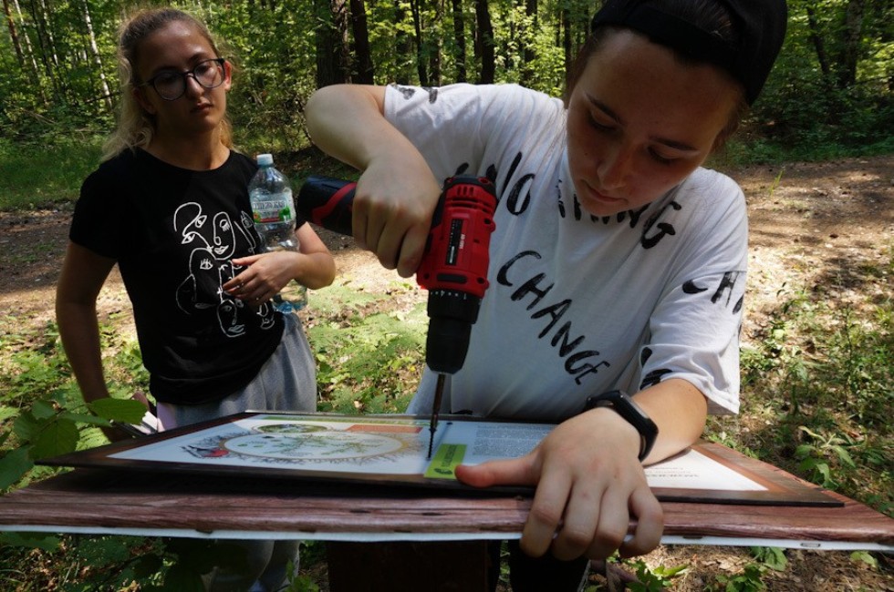 �������� ����������� ��������� ������ ���������������� ����������