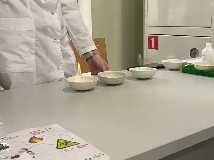 ������������������ ������ � ������ ������������� XXIX ��������� �����