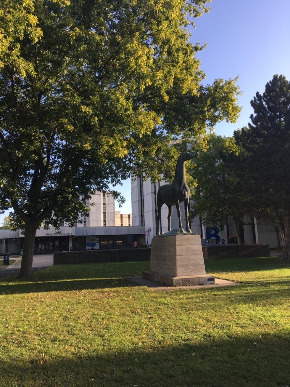 ������� ���������� ��������� ��� ��� � ��������