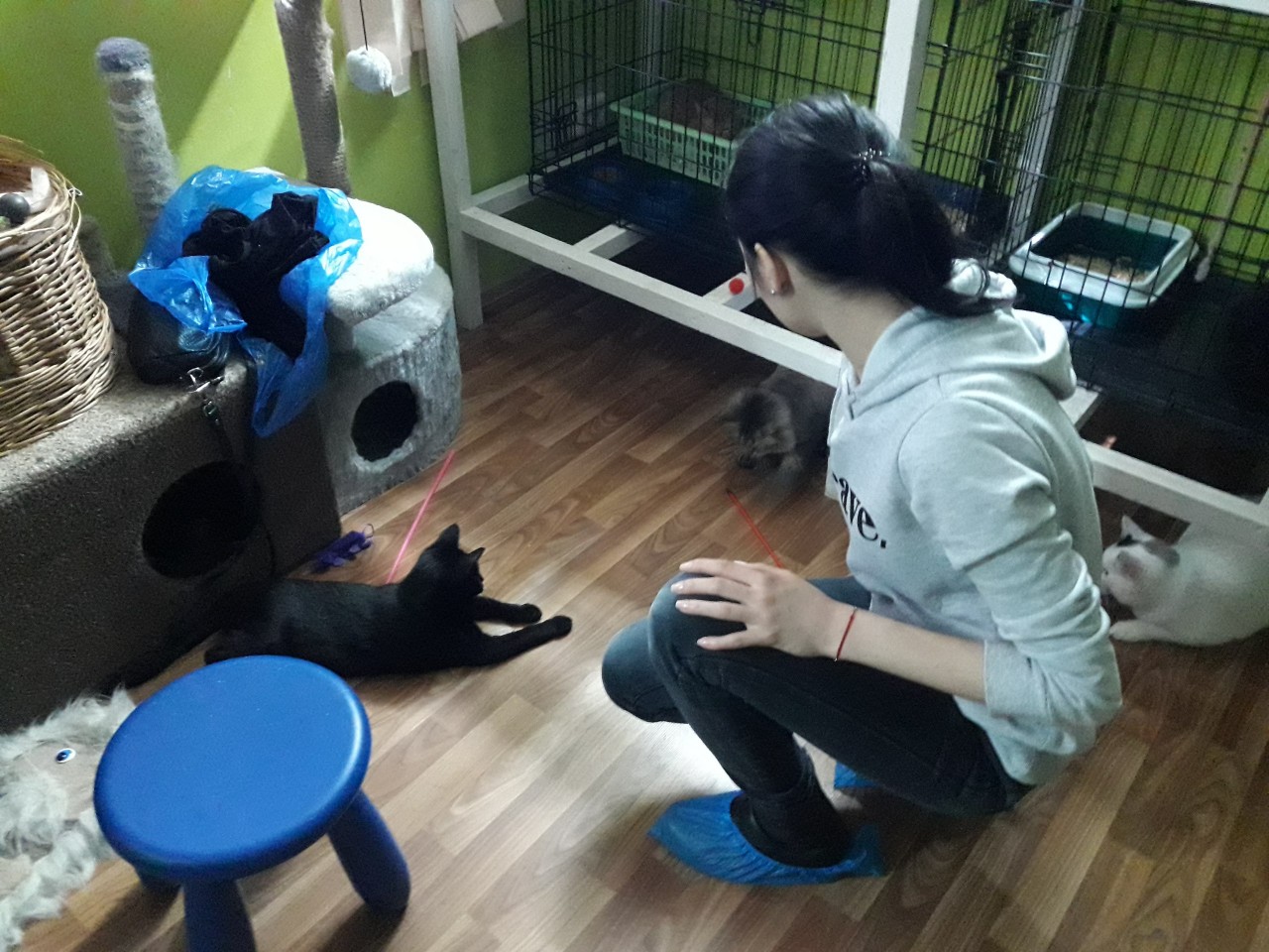 ������������ ��������