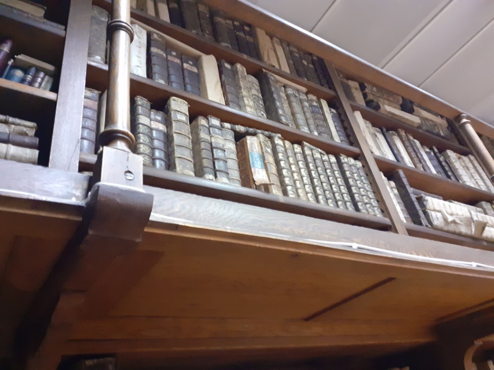 ������������� ����������� 