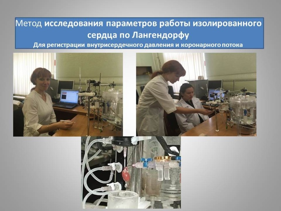 06.04.01 ��������, ������������ ��������� '��������������� ������ �������������� �����������'. ������������� �������: ������� ������������ ��������: 2 ����. ����� ��������: �����