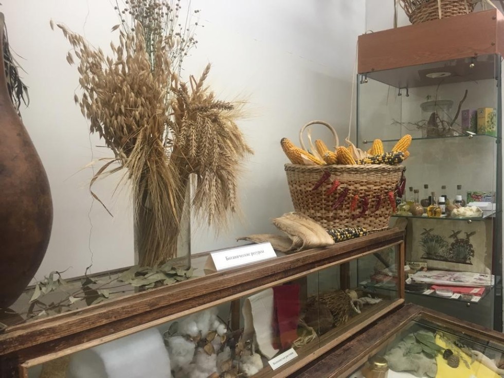 New botanical collection of the Zoological Museum opened doors New botanical collection of the Zoological Museum opened doors